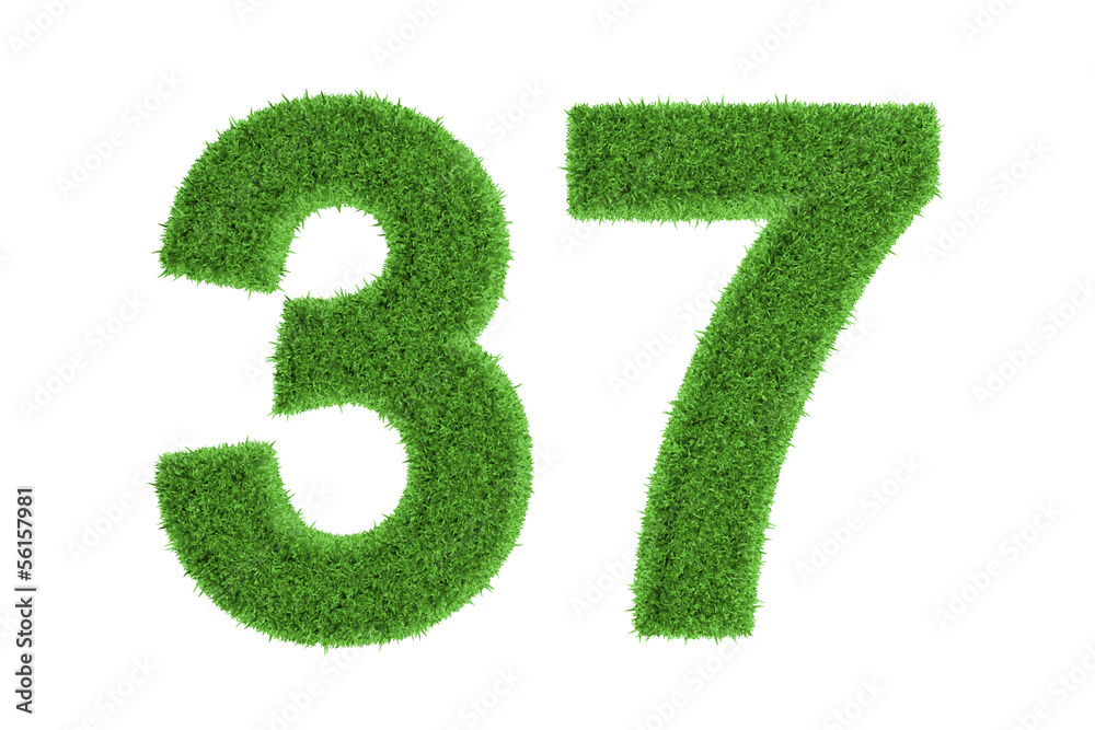 Number 37 with a green grass texture Number 37 with a green grass texture