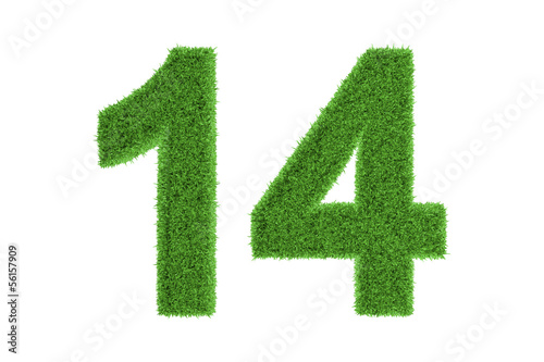 Number 14 with a green grass texture