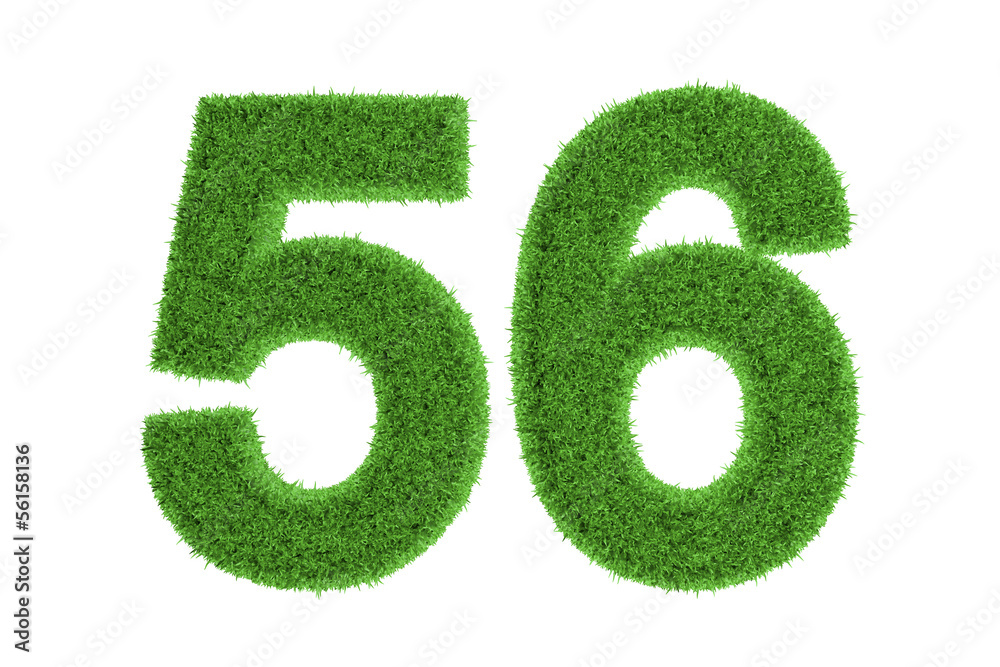 Green eco-friendly symbol of number 56, on white Green eco-friendly symbol of number 56, on white