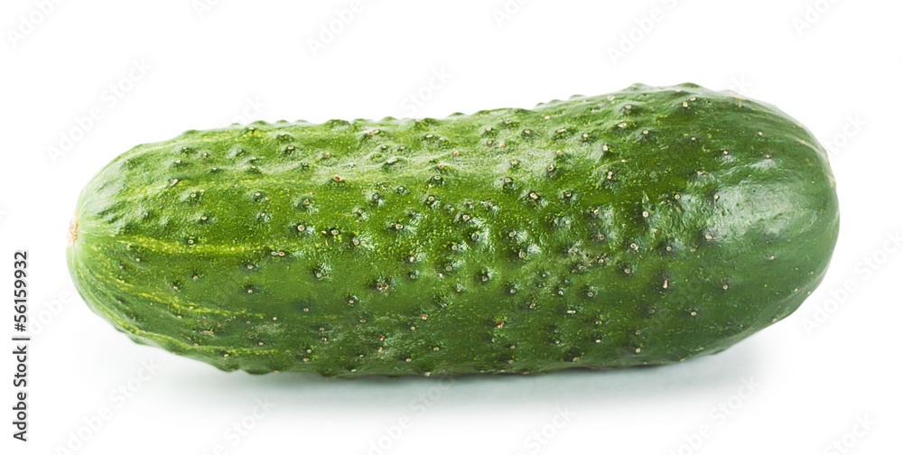Bright ripe cucumber Bright ripe cucumber