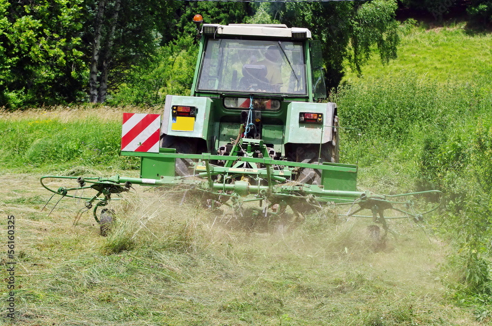 Fototapeta premium travail du foin