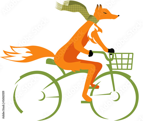 Fox riding a bike