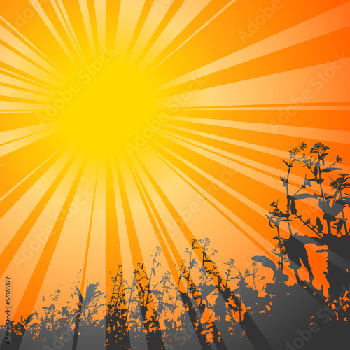 sun theme