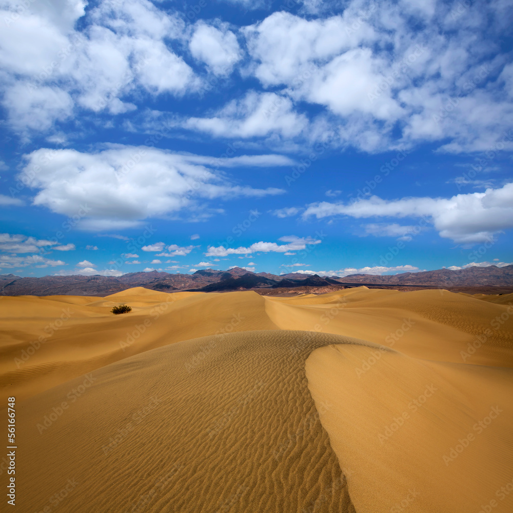 Naklejka premium Mesquite Dunes desert in Death Valley National Park