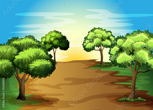 Growing green trees in the forest