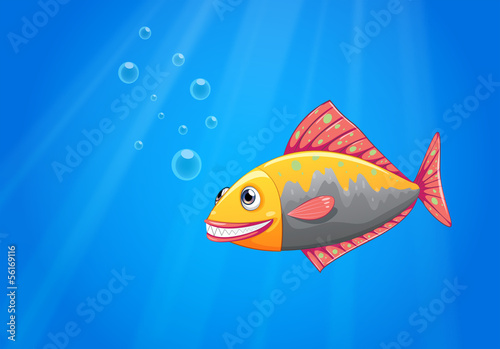 A smiling fish in the ocean