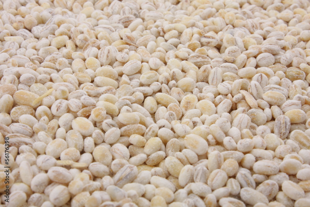 Close up of organic Barley seeds.