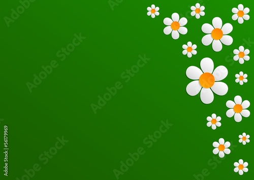 Green  background - white flowers v2