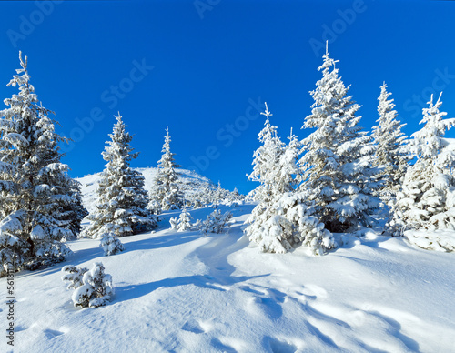Morning winter mountain landscape