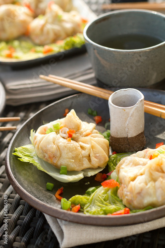 steamed dumplings macro