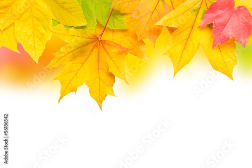 Herbstblätter als Hintergrund