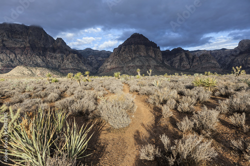 Mojave Morning Storm