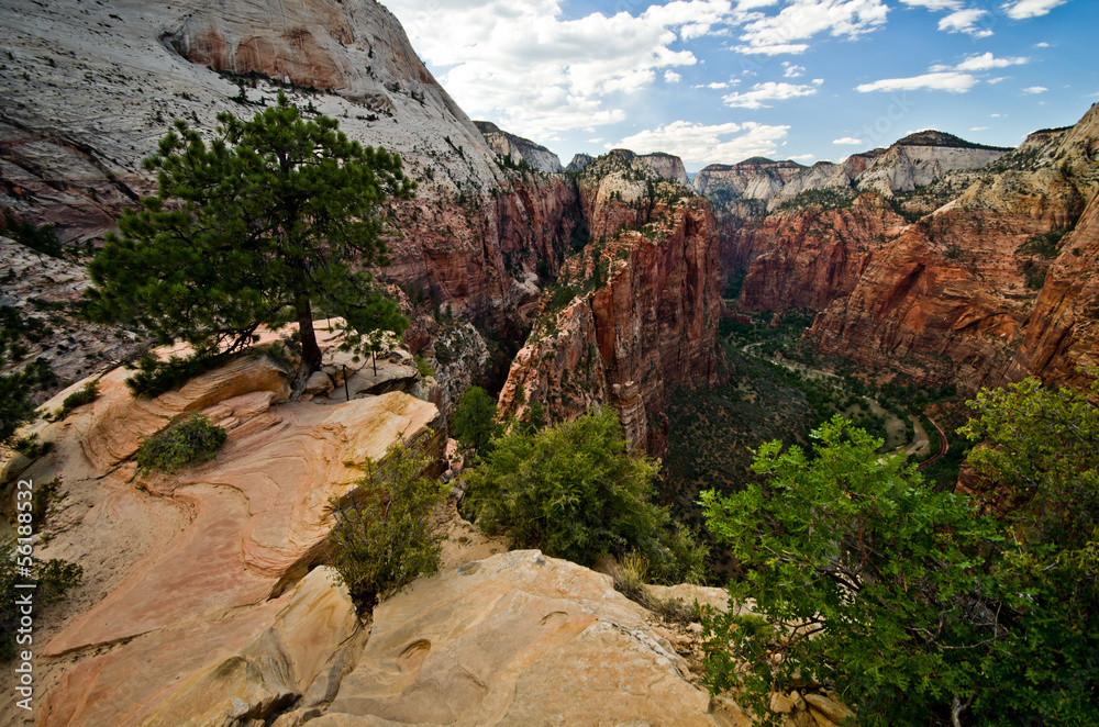 Scenery from the Angels Landing hike at Zion National Park in Ut