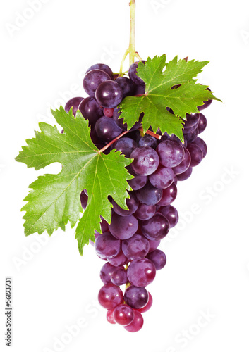 Grapes