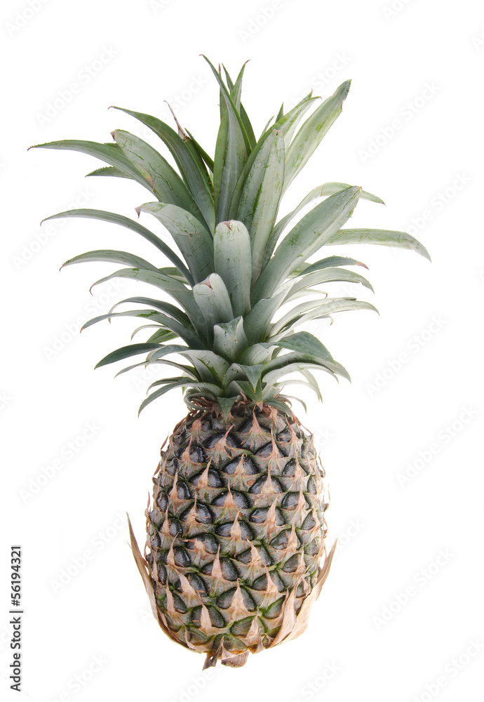 Pineapple, Pineapple tropical fruit on background Pineapple, Pineapple tropical fruit on background