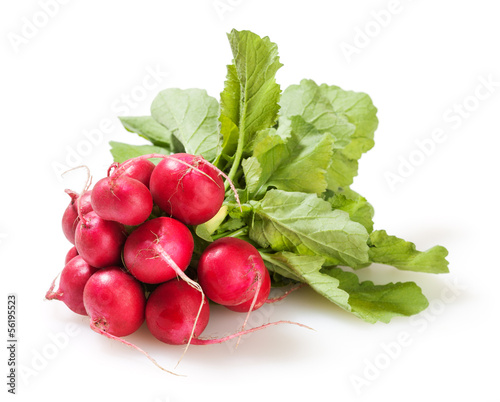 Bunch of radish isolated on white background