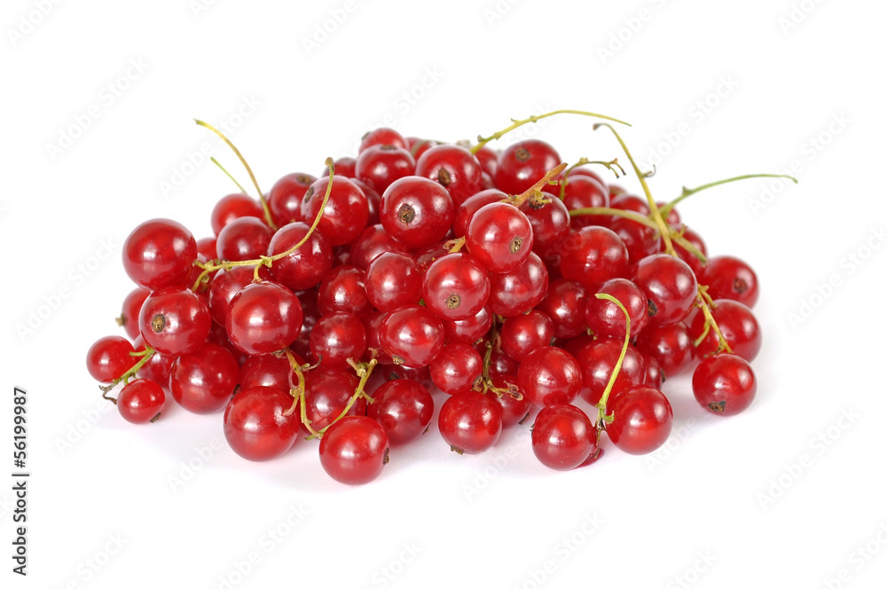 Red currant isolated on white background Red currant isolated on white background