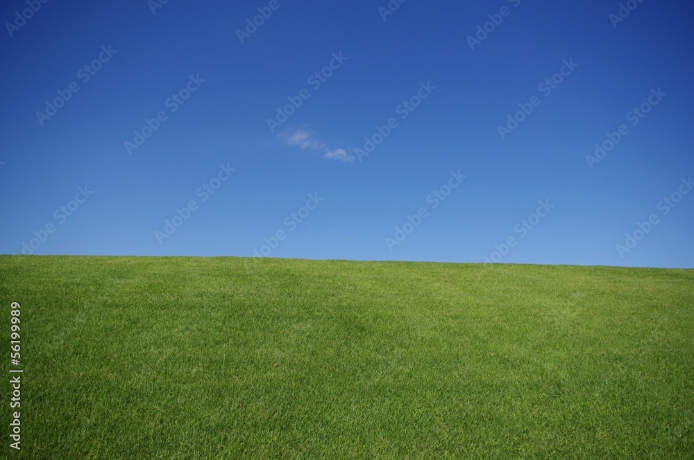 Fototapeta premium 芝生の丘