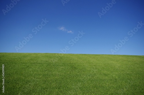 芝生の丘