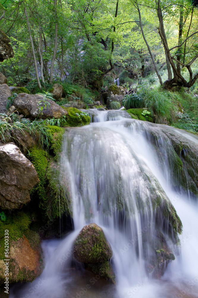 Forest waterfall