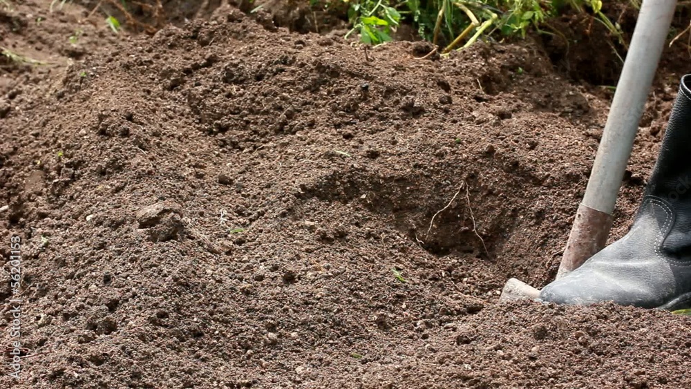 Shoveling worker digging