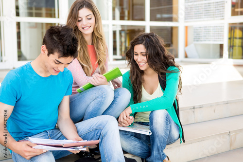 Young group of students in campus