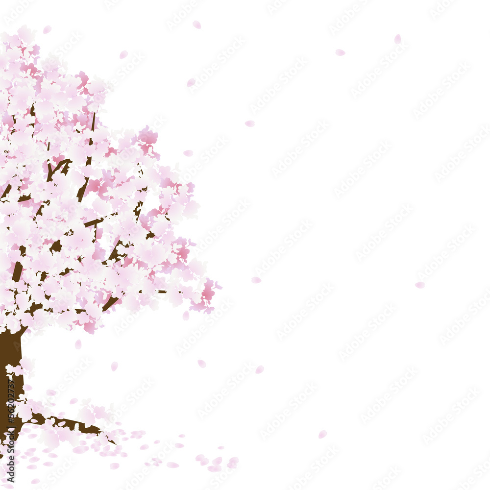 桜　ソメイヨシノ　桜の木　舞い散る　花びら