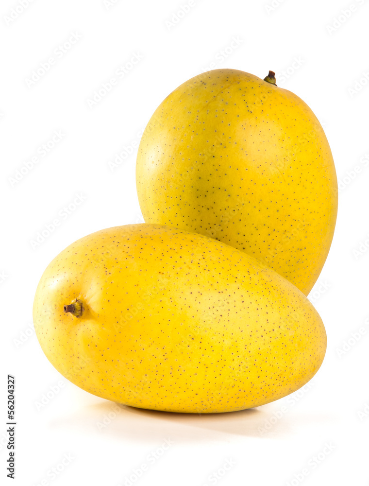 mango. sweet mango on background. mango. sweet mango on background.