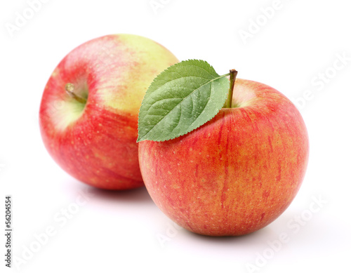 Two ripe apples