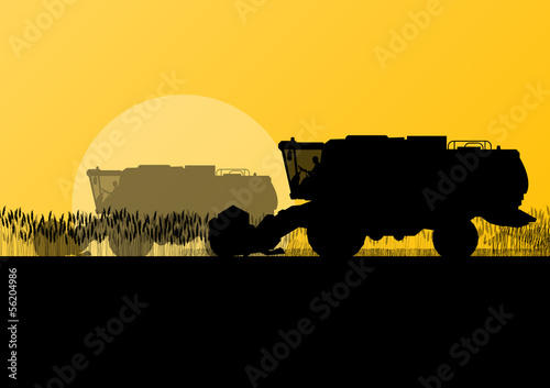 Agricultural combine harvester in grain field seasonal farming l