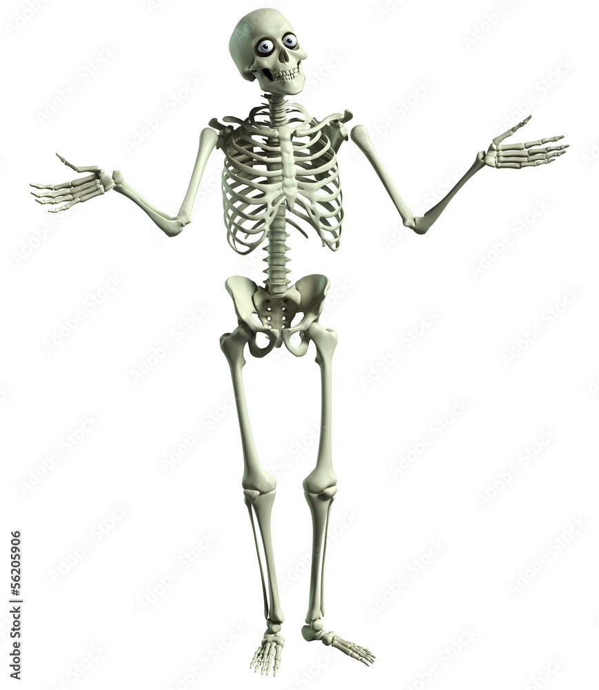 3d cartoon skeleton 3d cartoon skeleton