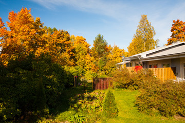Bright autumn colors in backyard trees