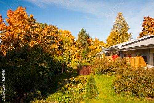 Bright autumn colors in backyard trees © Juhku