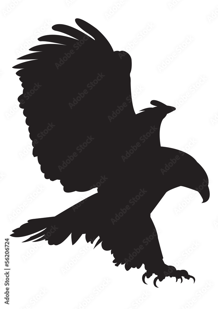 Obraz premium eagle vector images