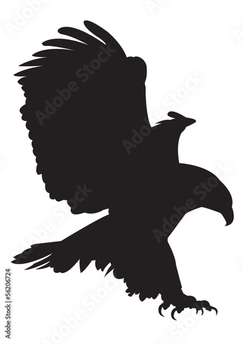 eagle vector images