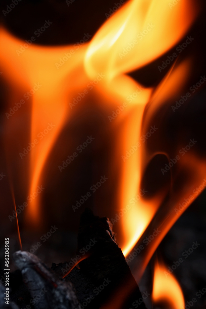 Fototapeta premium Fire