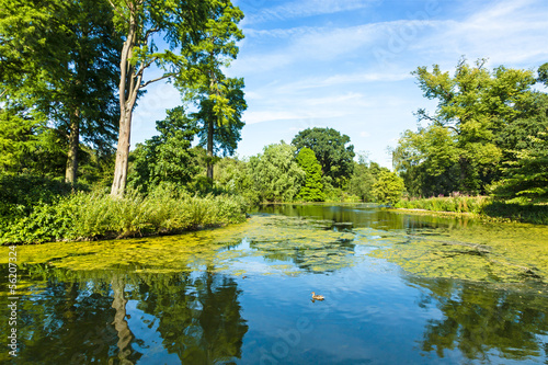Lush Green Woodland Park Reflecting in Tranquil Pond