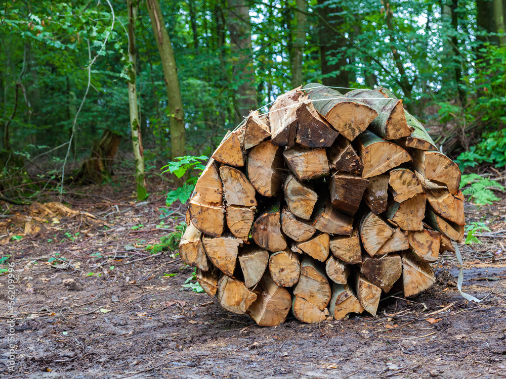 wooden logs bundled