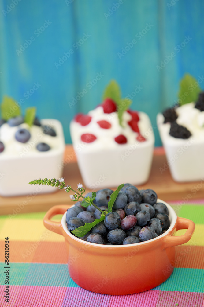 Fresh seasonal fruits from garden with yogurt Fresh seasonal fruits from garden with yogurt