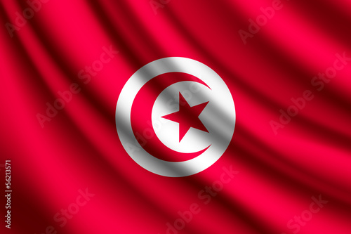 Waving flag of Tunisia, vector