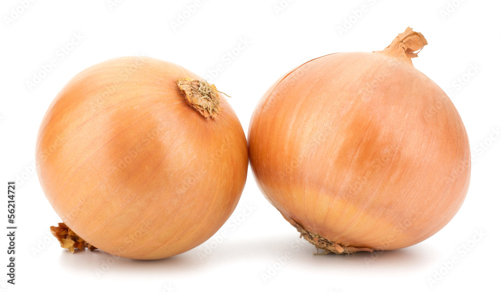 Fresh bulbs of onion on a white background Fresh bulbs of onion on a white background