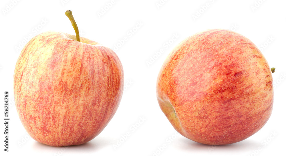 juicy apples isolated on white background juicy apples isolated on white background