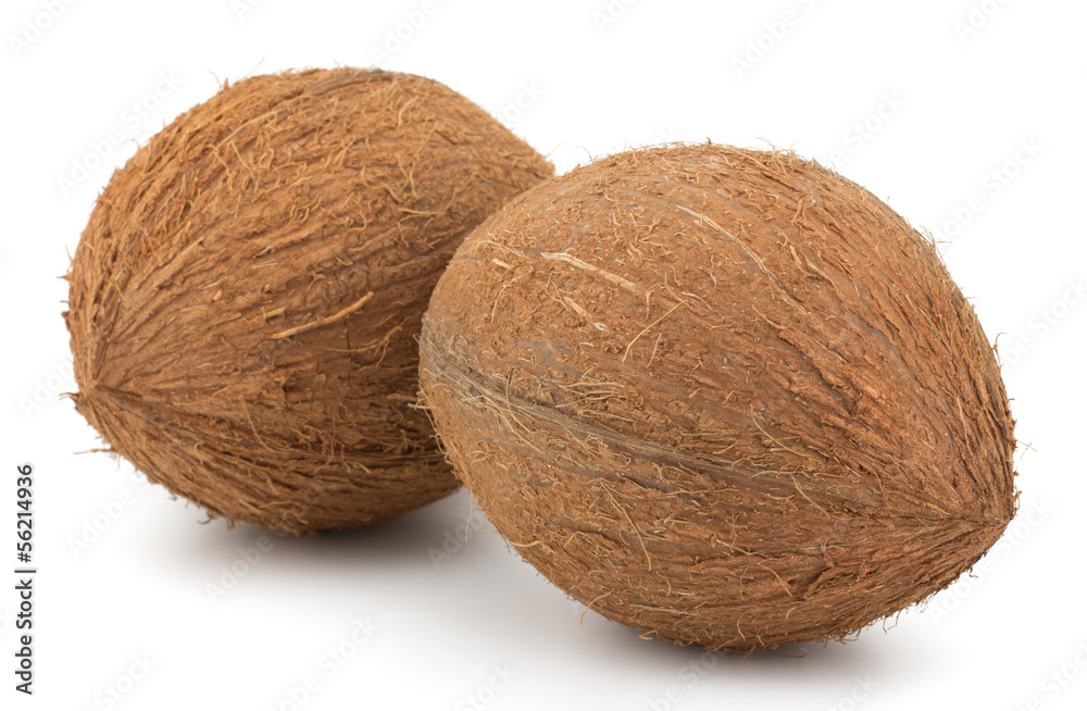 Coconuts isolated on white background Coconuts isolated on white background