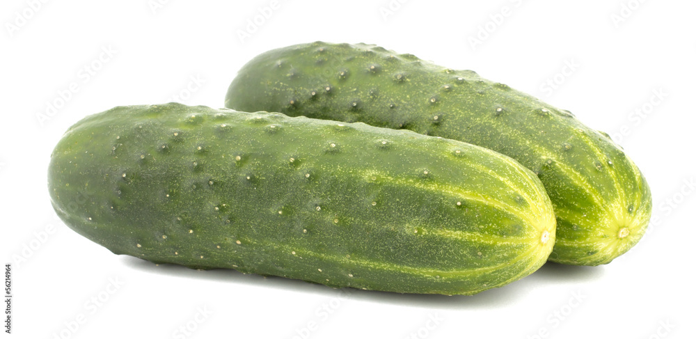 cucumber isolated on white background cucumber isolated on white background