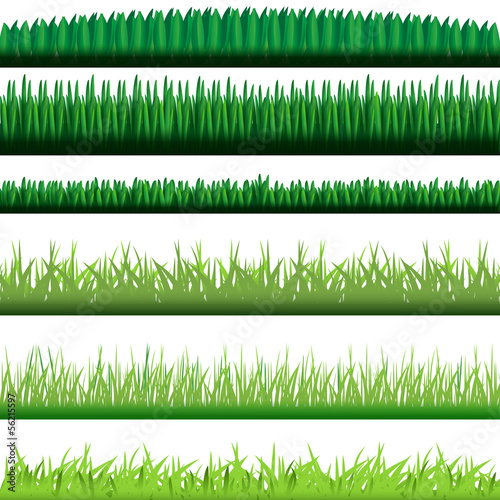 Background Of Green Grass Isolated On White Background