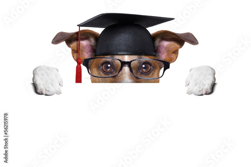 Obraz na płótnie graduate dog