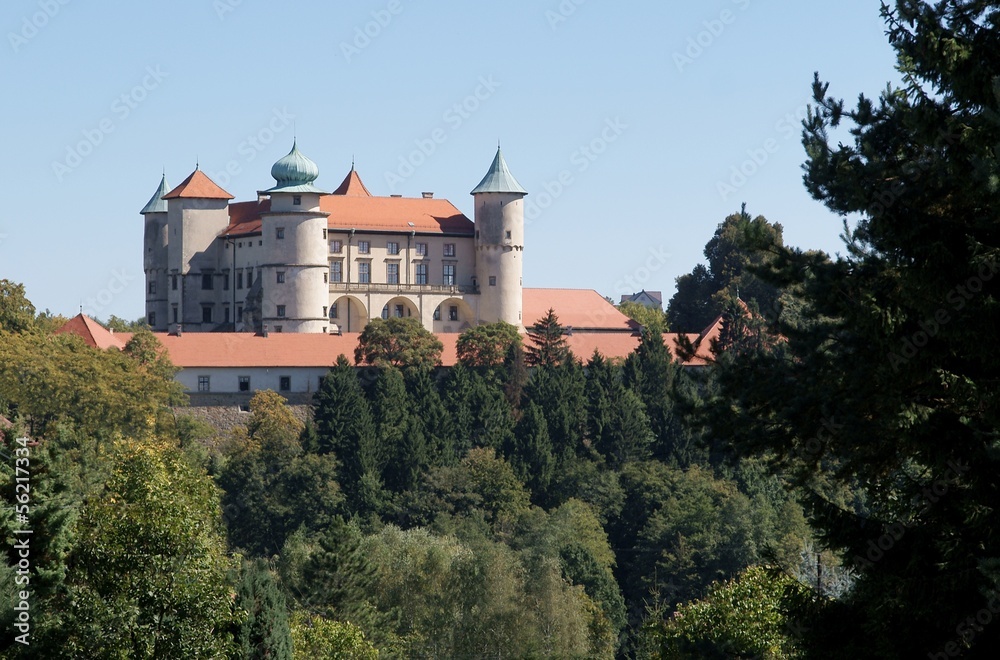lordly castle in Wisnicz Nowy