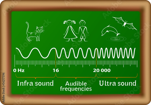 The sound waves vector diagram
