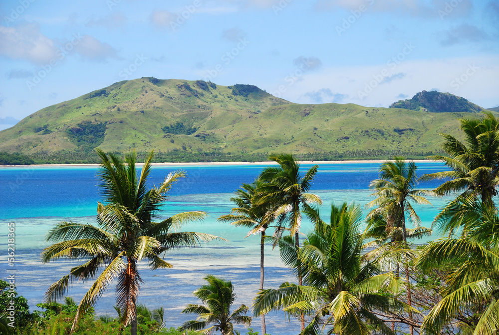 Tropical island with Fijian Palm trees