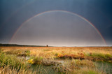 big rainbow over bog after summer storm